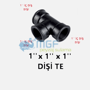 1''PE Dişli Te 1'' Dişi x 1'' Dişi x 1'' Dişi Te