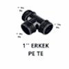Erk t